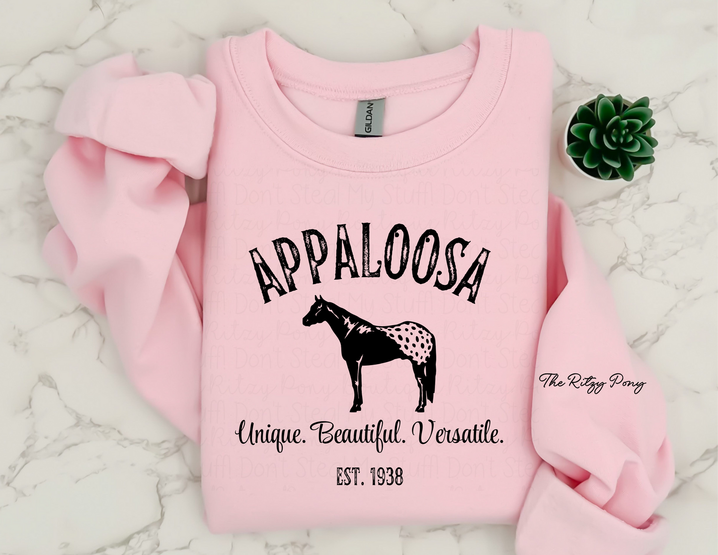 Appaloosa Sweatshirt