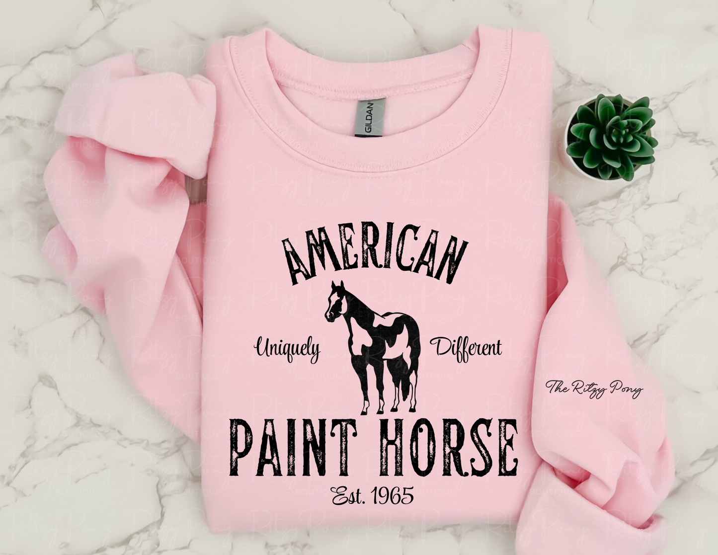 American Paint Horse Sweatshirt